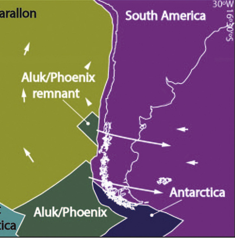 Transient plate contraction between two simultaneous slab windows: Insights from Paleogene tectonics of the Patagonian Andes